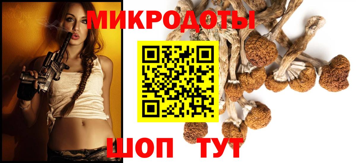 Псилоцибиновые грибы MAGIC MUSHROOMS  Вход с VPN  цены наркотик  Юрга  Галлюциногенные грибы Magic Shrooms 